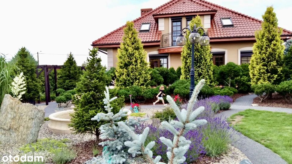 Dom Płock sprzedaż