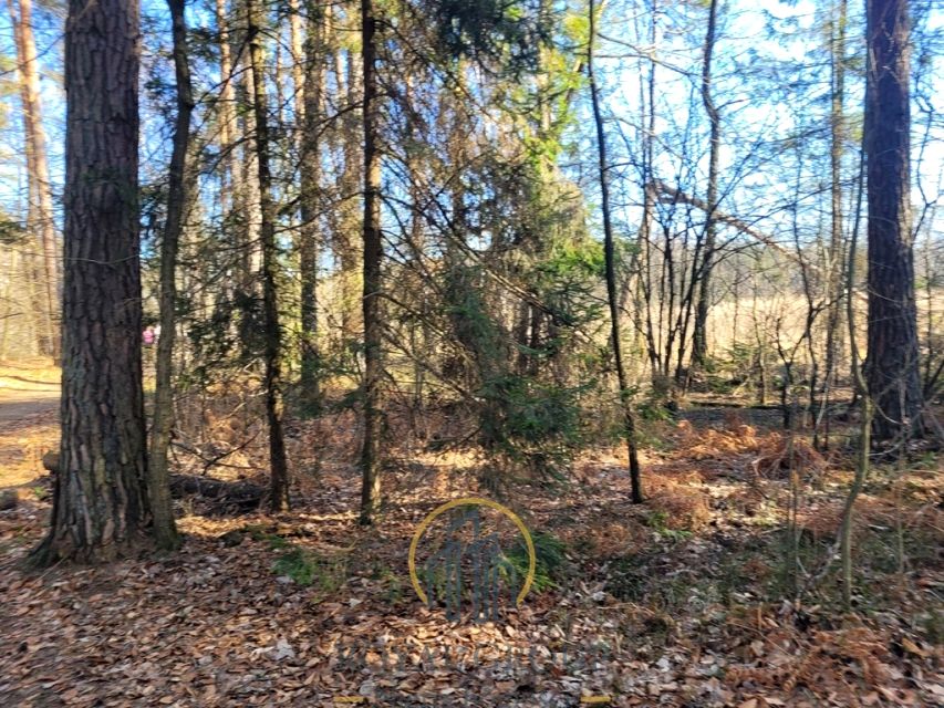 Działka leśna Jawidz