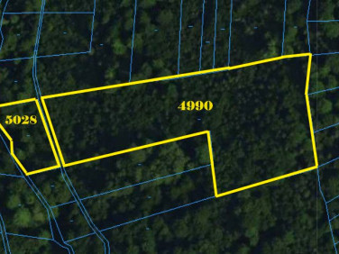 Działka leśna Jaworzynka