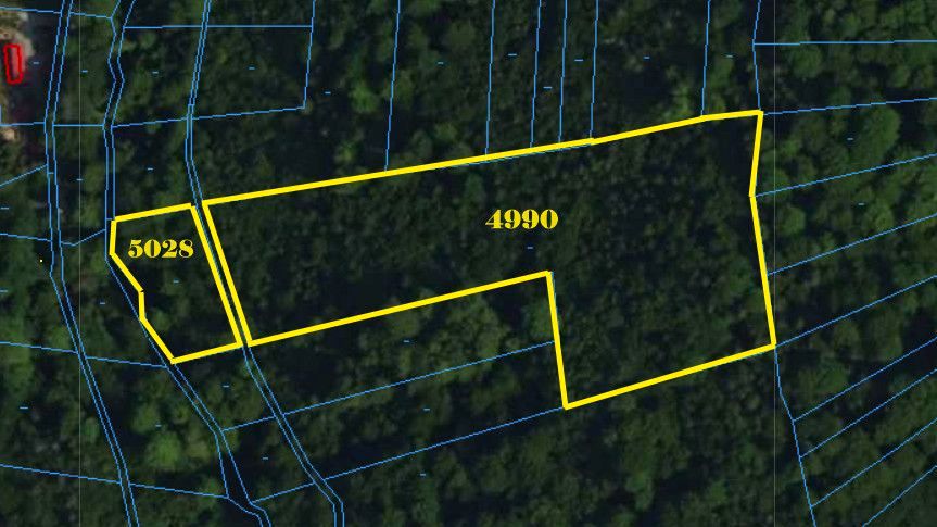 Działka leśna Jaworzynka