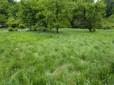 Działka rolna Mazańcowice