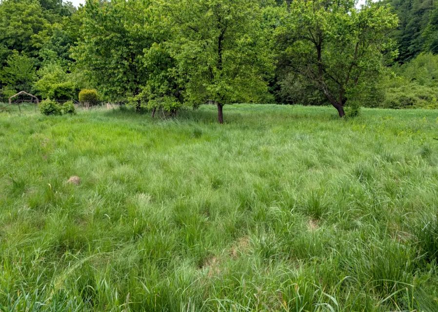 Działka rolna Mazańcowice