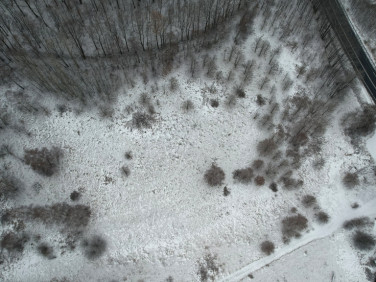 Działka inwestycyjna Rybnica