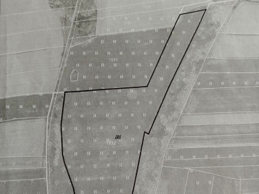 Działka rolna Drwinia