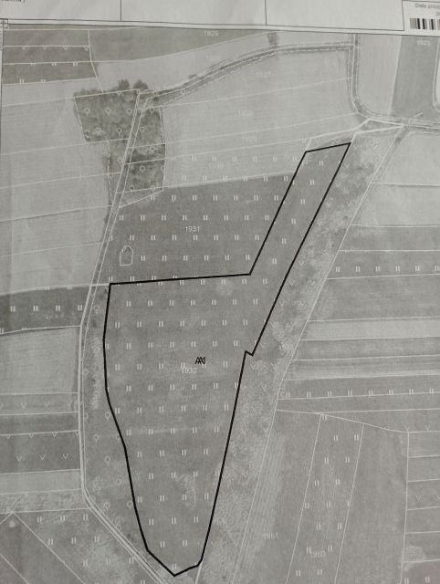 Działka rolna Drwinia