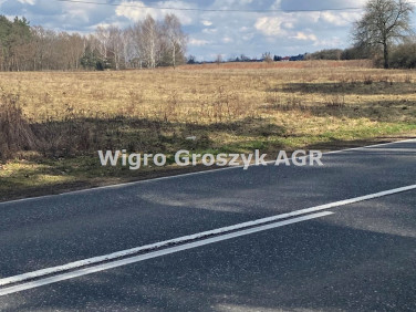 Działka usługowa Kazuń Polski