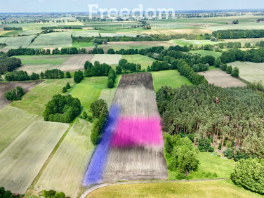 Działka budowlana Rzęczkowo