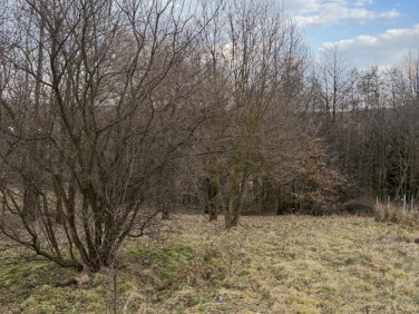 Działka rekreacyjna Brzoskwinia