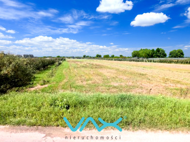 Działka rolna Otoka