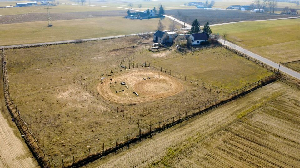 Dom wolnostojący sprzedaż