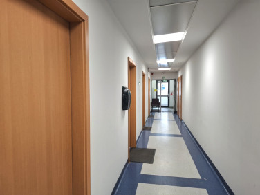 Lokal Wrocław wynajem