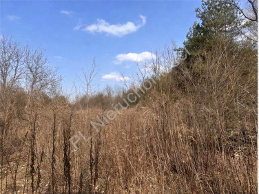 Działka budowlana Książenice