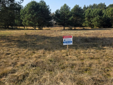 Działka siedliskowa Bukowiec