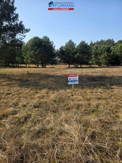 Działka siedliskowa Bukowiec