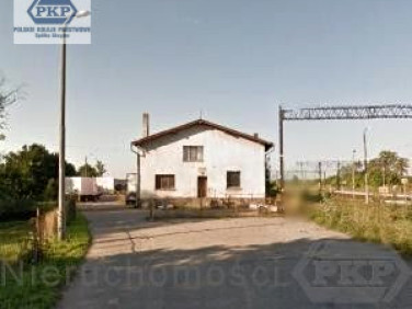 Lokal Kowalewo Pomorskie