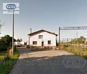 Lokal Kowalewo Pomorskie