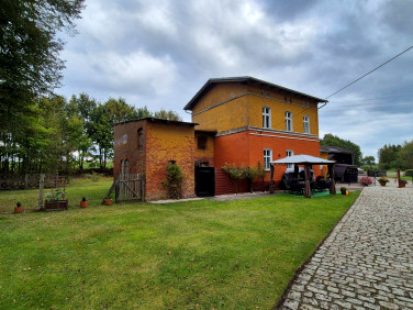 Lokal Kołczygłówki