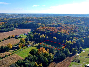 Działka budowlano-rolna Syrynia