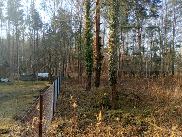 Działka budowlana Serock