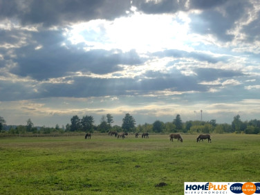 Działka budowlana Ruda
