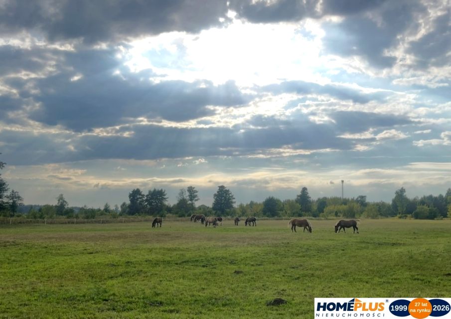 Działka budowlana Ruda