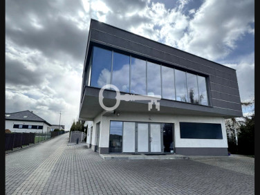 Lokal Piła Kościelecka