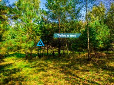 Działka przy lesie