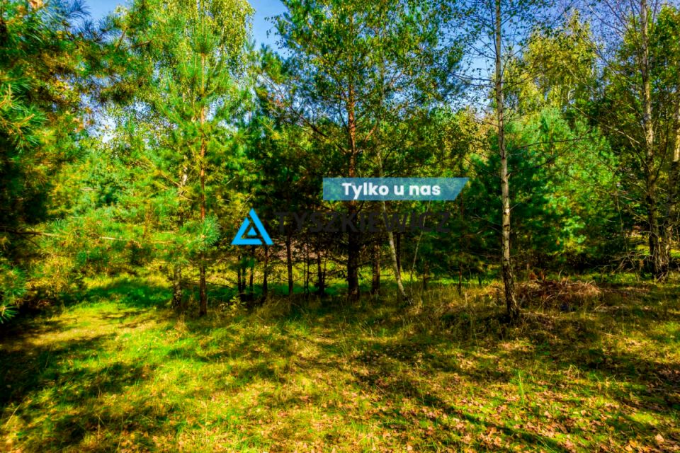 Działka przy lesie