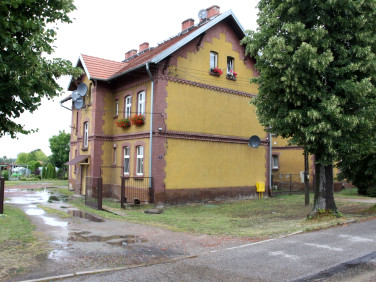 Mieszkanie Kotomierz