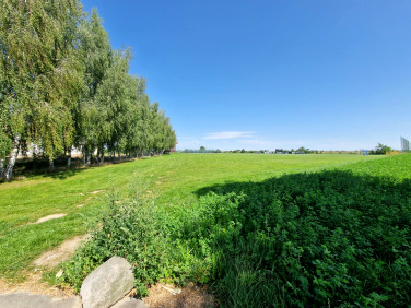 Działka budowlana Grzywna