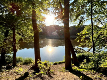 Działka budowlana Wisławie