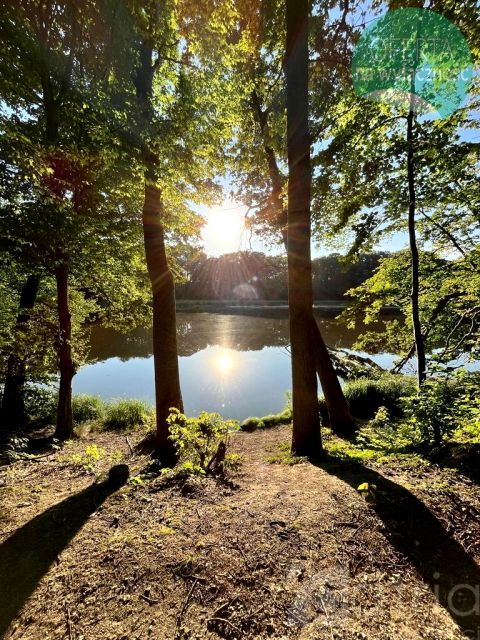 Działka budowlana Wisławie