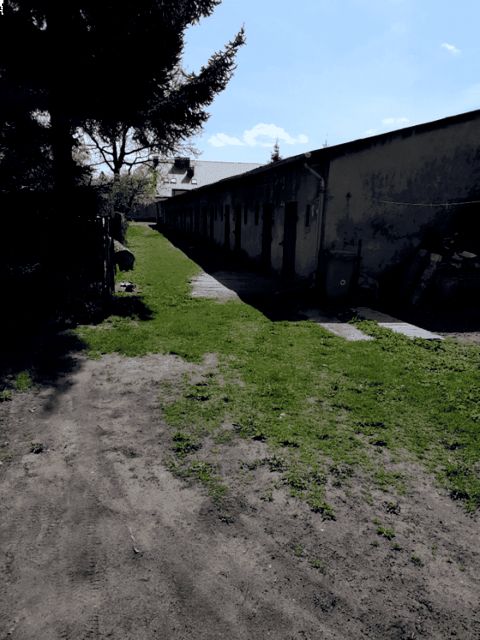 Mieszkanie Maksymilianowo