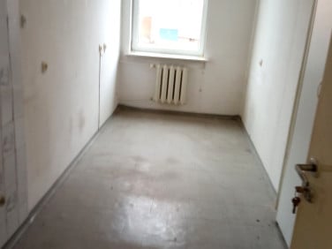Lokal Iława