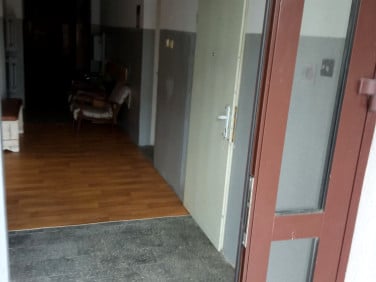 Lokal Iława