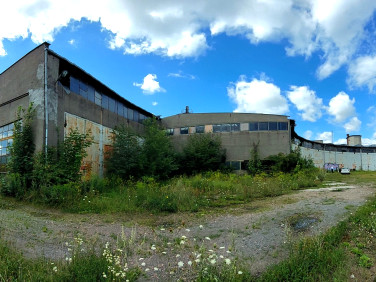 Budynek użytkowy Malbork