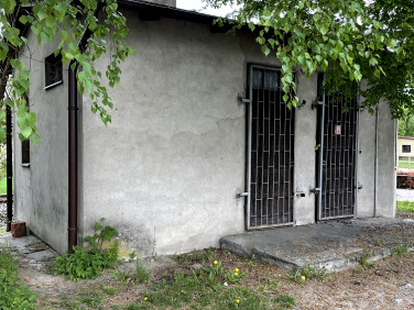 Lokal Sępólno Krajeńskie