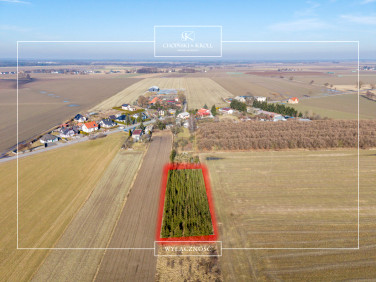 Działka rolna Łowęcin