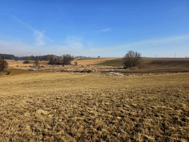 Działka rolna Stara Biała