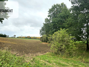 Działka budowlana Goszyn