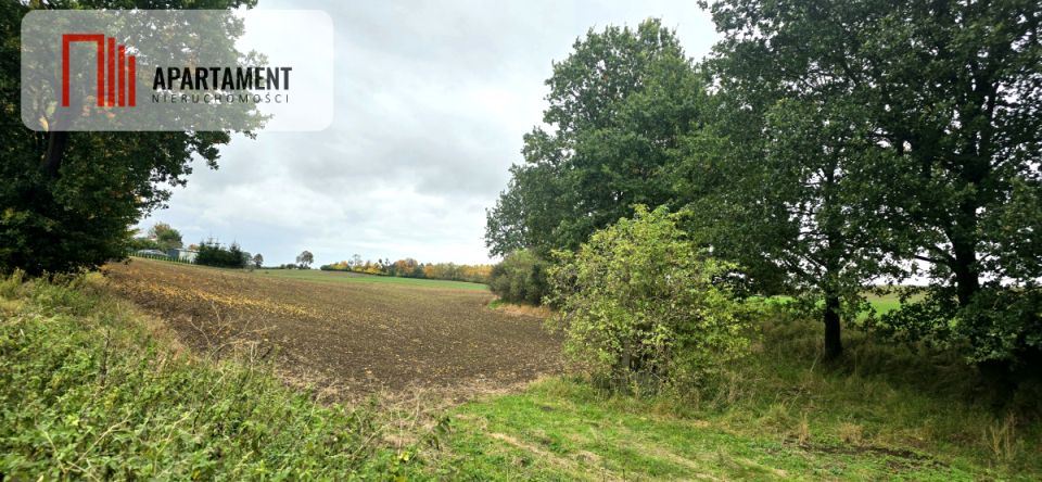 Działka budowlana Goszyn