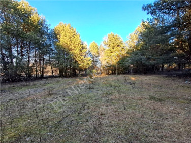 Działka budowlana Budy-Grzybek