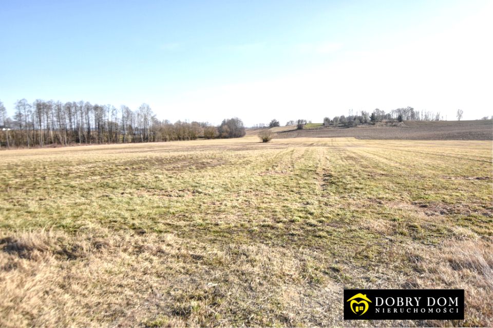 Działka przy lesie