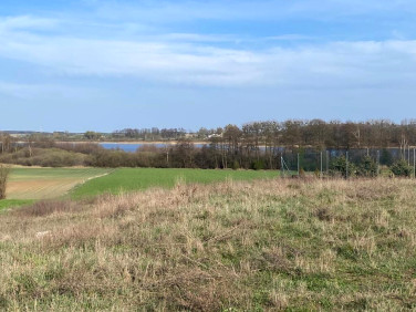 Działka rekreacyjna Wiekowo sprzedam