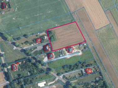 Działka Krasienin-Kolonia