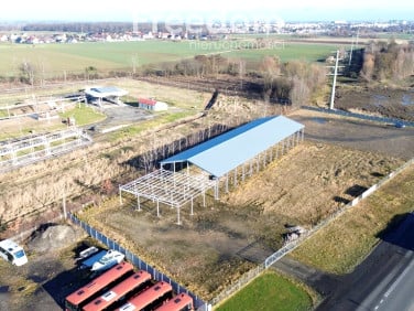 Działka Skarbimierz-Osiedle