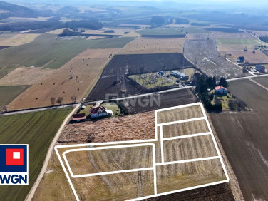 Działka Stary Waliszów