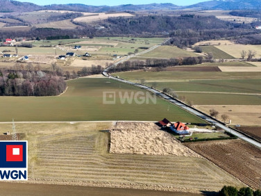 Działka Stary Waliszów