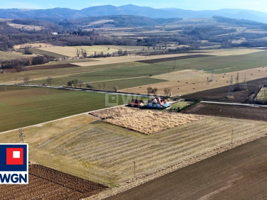 Działka budowlana Stary Waliszów