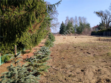 Działka budowlana Bramki